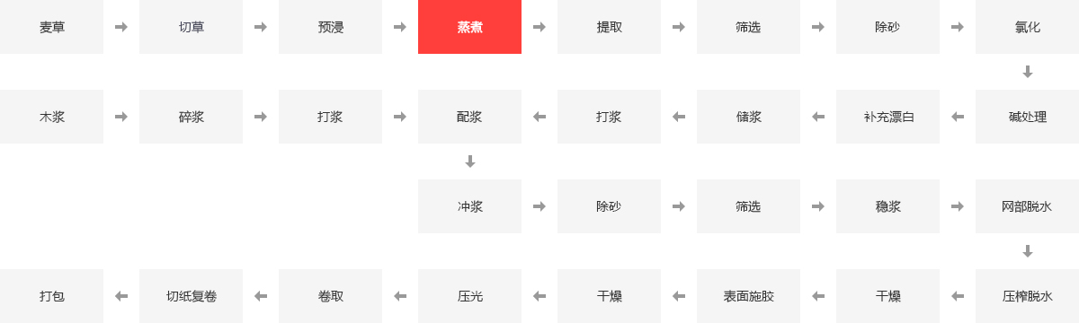 造紙行業鍋爐應用領域